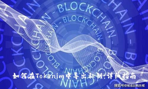 如何在Tokenim中导出私钥：详细指南