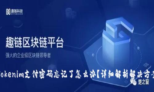 Tokenim支付密码忘记了怎么办？详细解析解决方案