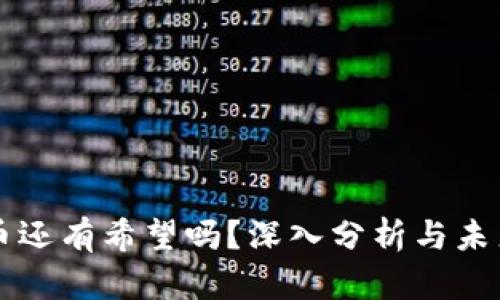 波场币还有希望吗?深入分析与未来展望