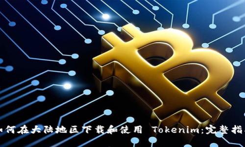 如何在大陆地区下载和使用 Tokenim：完整指南