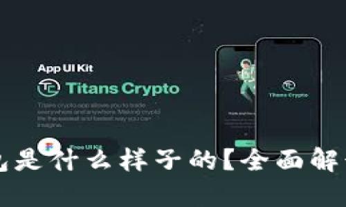 区块链冷钱包是什么样子的？全面解读与使用指南