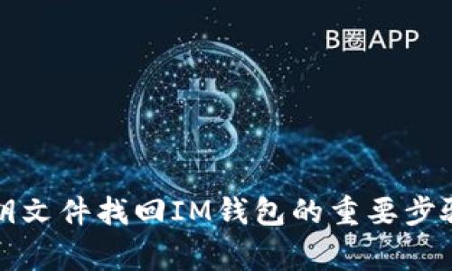 如何通过密钥文件找回IM钱包的重要步骤与注意事项