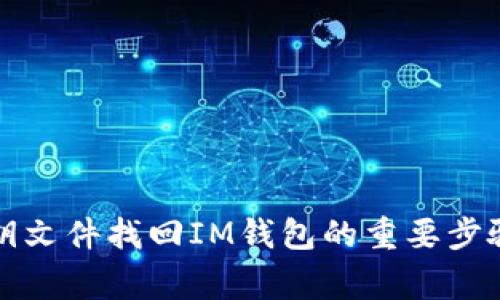 如何通过密钥文件找回IM钱包的重要步骤与注意事项