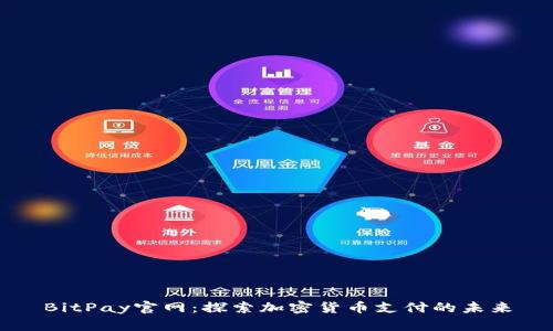 BitPay官网：探索加密货币支付的未来