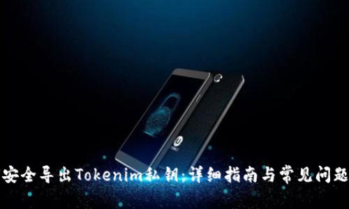 如何安全导出Tokenim私钥:详细指南与常见问题解答