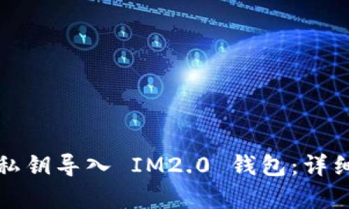 如何通过私钥导入 IM2.0 钱包：详细步骤解析