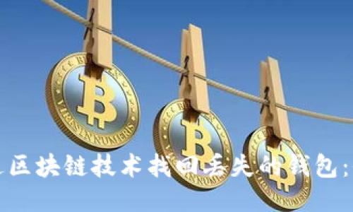 如何通过区块链技术找回丢失的钱包:全面指南