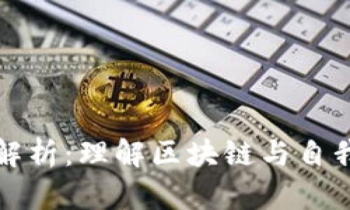去中心化钱包原理解析:理解区块链与自我主权数字资产管理