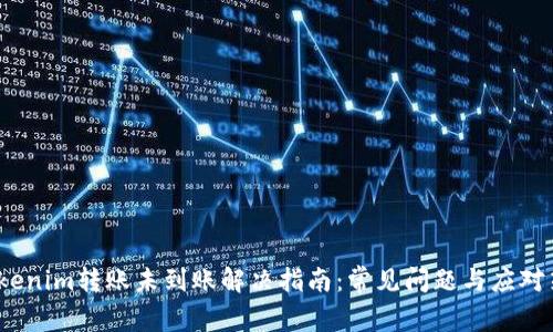 Tokenim转账未到账解决指南:常见问题与应对策略