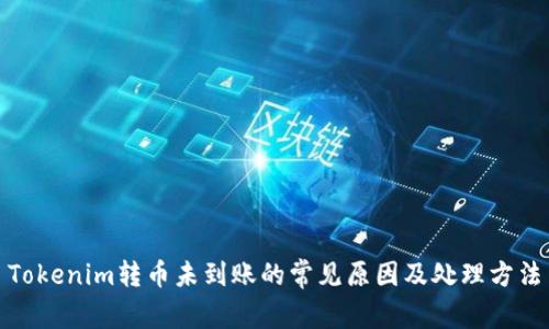 Tokenim转币未到账的常见原因及处理方法