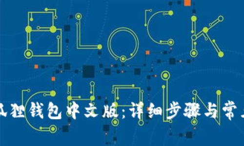 如何设置狐狸钱包中文版：详细步骤与常见问题解答