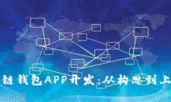 全面解析区块链钱包APP开发：从构思到