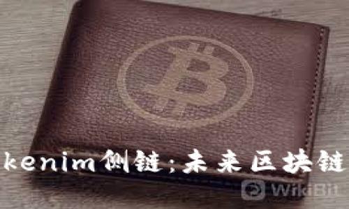 深入探讨Tokenim侧链:未来区块链技术的突破