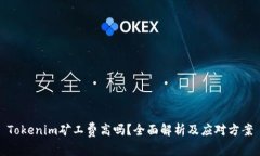Tokenim矿工费高吗？全面解析及应对方