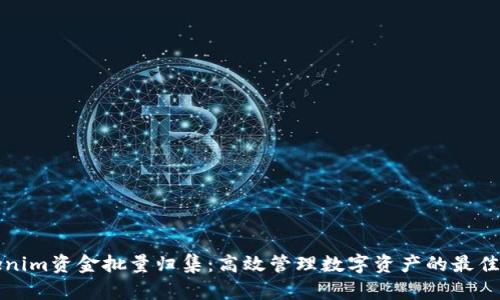 Tokenim资金批量归集:高效管理数字资产的最佳实践