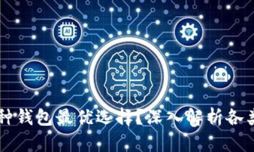 区块链开发中哪种钱包最优选择?深入解析各类数字钱包优缺点
