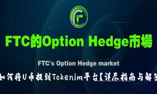 如何将U币提到Tokenim平台?详尽指南与解答