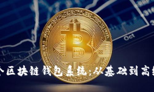 如何搭建一个区块链钱包系统:从基础到高级的详细指南