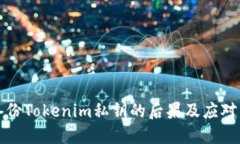 不备份Tokenim私钥的后果及应对策略