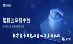 数字货币钱包融资的未来与机遇