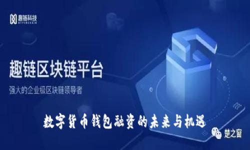 数字货币钱包融资的未来与机遇