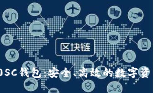 区块链100SC钱包:安全、高效的数字资产管理工具