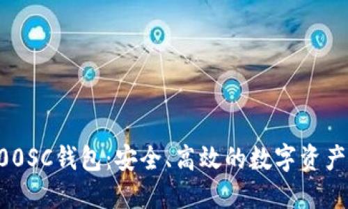 区块链100SC钱包:安全、高效的数字资产管理工具