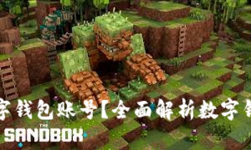 如何查看数字钱包账号?全面解析数字钱包使用技巧