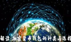 全面解读：加密货币钱包的种类与选择