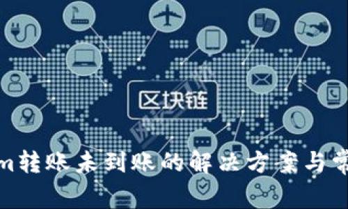 Tokenim转账未到账的解决方案与常见疑问