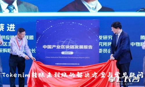 Tokenim转账未到账的解决方案与常见疑问
