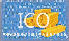 理解区块链地址与域名的关系及其重要