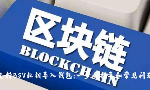 如何支持BSV私钥导入钱包:一步步指导和常见问题解答