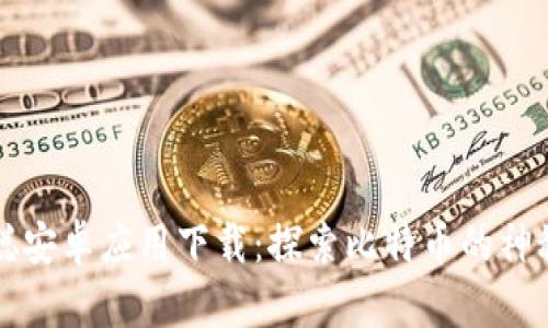 中本聪安卓应用下载：探索比特币的神秘世界
