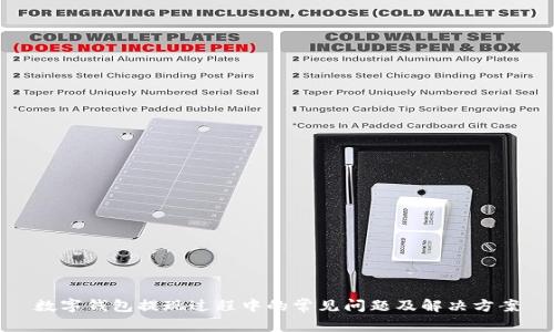 数字钱包提现过程中的常见问题及解决方案