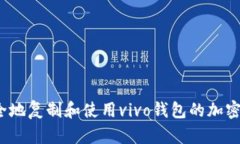 如何安全地复制和使用vivo钱包的加密
