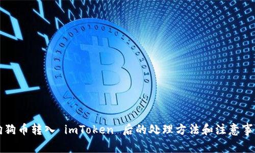 狗狗币转入 imToken 后的处理方法和注意事项