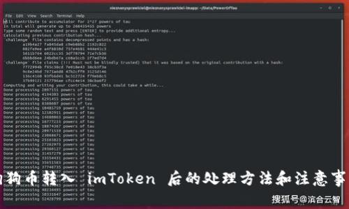 狗狗币转入 imToken 后的处理方法和注意事项