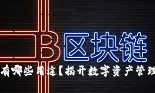 区块链钱包有哪些用途？揭开数字资产管理的神秘面纱