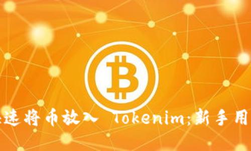 如何快速将币放入 Tokenim：新手用户指南
