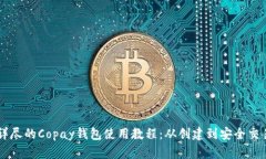 详尽的Copay钱包使用教程：从创建到安