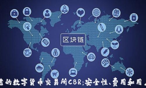 
如何选择可靠的数字货币交易所CBR：安全性、费用和用户体验全解析