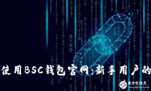 如何安全使用BSC钱包官网：新手用户的全面指南