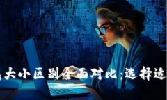 区块链钱包大小区别全面对比：选择适