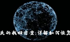 区块链钱包丢失的找回方案：详解如何