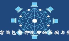 交通数字钱包暂停使用的原因与影响分