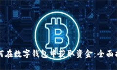 如何在数字钱包中获取资金：全面指南