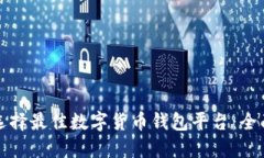 如何选择最佳数字货币钱包平台：全面