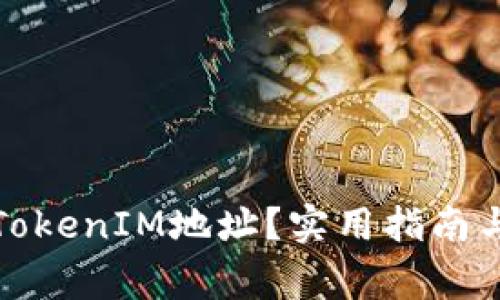 如何高效查询TokenIM地址？实用指南与常见问题解答