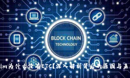 Tokenim为什么没有ETC？深入解析背后的原因与未来展望